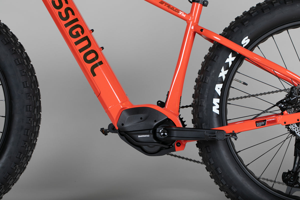 Rossignol E-Track Fat E-Bike - esittely-sähköpyörä 170-180 cm ajajalle