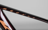 Ktm Macina Team 673 Glorious - käytetty sähköpyörä 176-187 cm ajajalle
