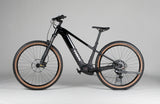 Trek Powerfly  4 Gen 5 - käytetty sähköpyörä 175-189 cm ajajalle