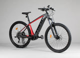 Trek Powerfly 4 625w Gen 4 - käytetty sähköpyörä 177-188 cm ajajalle