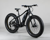 Active Arctic - käytetty sähköfatbike 160–170 cm ajajalle