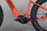 Rossignol E-Track Fat E-Bike - esittely-sähköpyörä 170-180 cm ajajalle