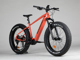 Rossignol E-Track Fat E-Bike - esittely-sähköpyörä 180-190 cm ajajalle