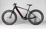 Helkama FE11 - käytetty sähköfatbike 170-190 cm ajajalle