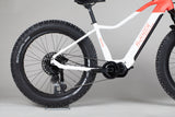 Helkama FE12S - outlet-sähköfatbike 160-180 cm ajajalle