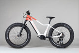 Helkama FE12S - outlet-sähköfatbike 160-180 cm ajajalle