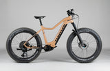 Tunturi E-Max EBF600 - käytetty sähköpyörä 178-190 cm ajajalle